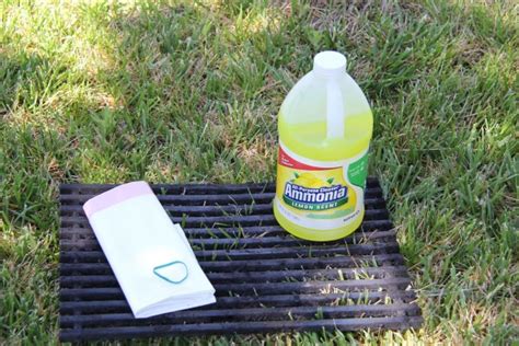 Cleaning Your Fire Magic Grill: Should You Use Chemical Cleaners?